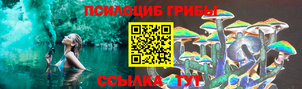 Киселёвск  Псилоцибиновые грибы мухоморы  Вход с VPN  Галлюциногенные грибы GOLDEN TEACHER 