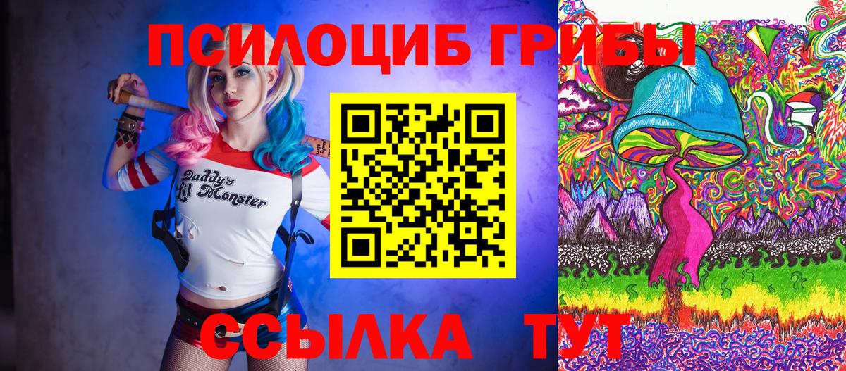 Галлюциногенные грибы Cubensis Киселёвск