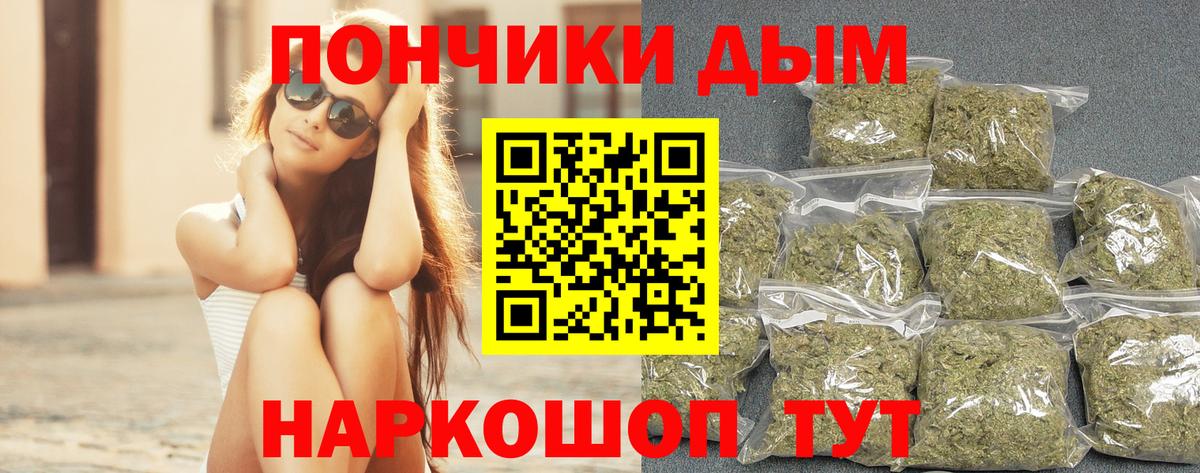 Каннабис сатива Киселёвск